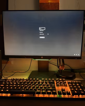 Monitor Gaming HP 25x 144Hz 1ms (24.5")