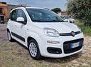 fiat-panda-1-2-lounge
