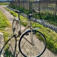 Biciclette una uomo e una donna