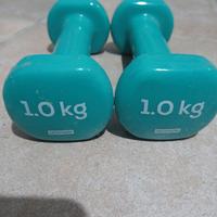 coppia manubri decathlon 1kg