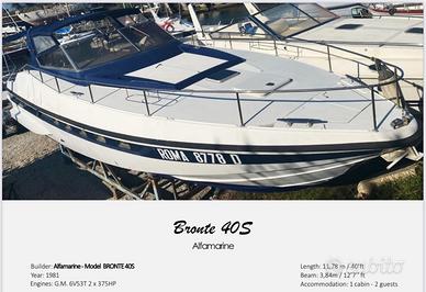 Alfamarine bronte 40s