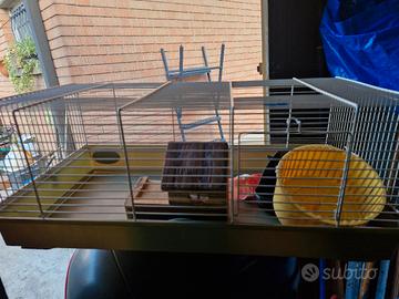 gabbia per criceto