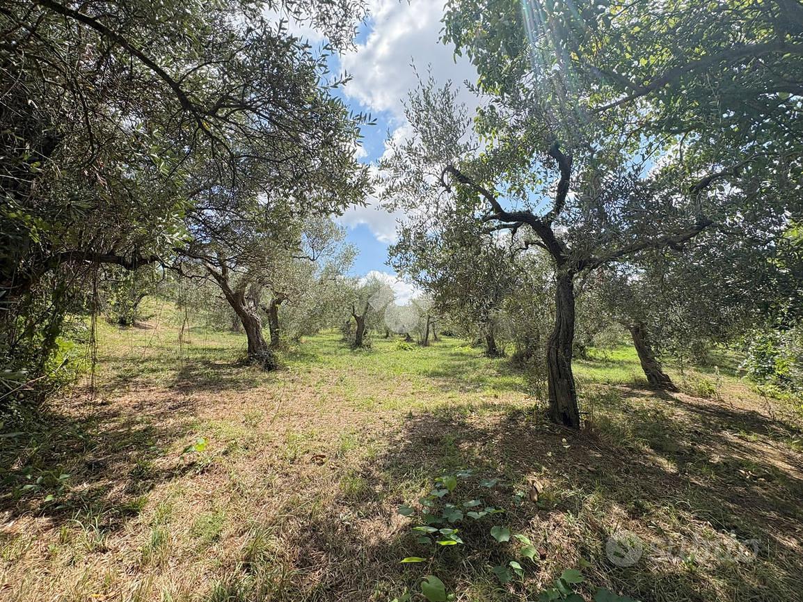 RUSTICO A LANCIANO - Vista 5