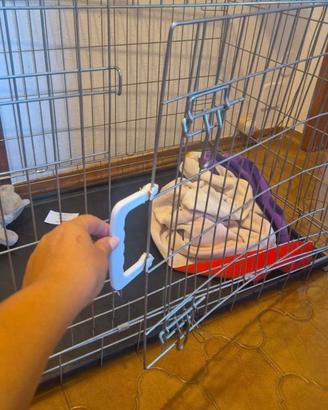 Gabbia per cani di taglia piccola