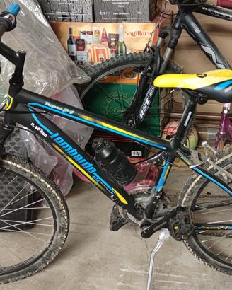 Bicicletta Tropea 24" Lombarda come NUOVA