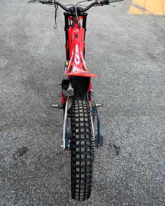 beta evo 300 2t