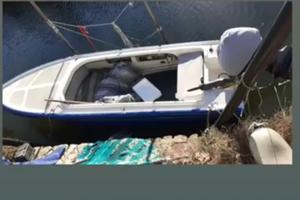 Barchino studioplast