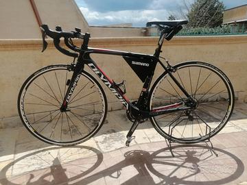bici da corsa Olympia full carbon