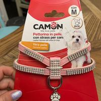 pettorina taglia piccola