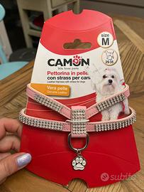 pettorina taglia piccola