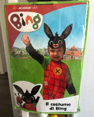 Costumi carnevale bimbi Frozen,scimmia,Bing,Zorro