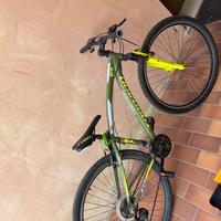 Bicicletta torpado