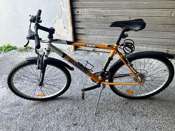 Bianchi bicicletta