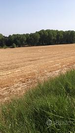 Terreno difronte supermercato Eurospin