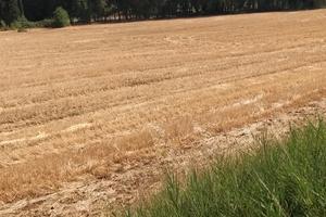 Terreno difronte supermercato Eurospin