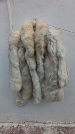 pelliccia volpe bianca