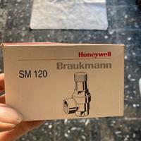 Valvola di sicurezza Braukmann SM120  1/2 3 bar