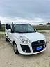 fiat-doblo-doblo-1-6-mjt-105-cv-5-posti-n1-anno-20