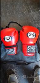 Guantoni Boxe Cleto Reyes