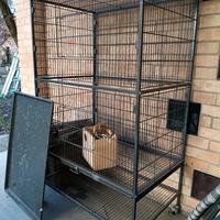 Gabbia voliera per uccelli come inseparabili