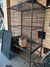 Gabbia voliera per uccelli come inseparabili