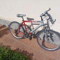 Bicicletta Mountain Bike 21 Marce