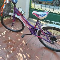 Bici Casadei 24