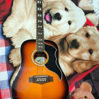 Chitarre elettroacustica Eko 12 corde con Fishman
