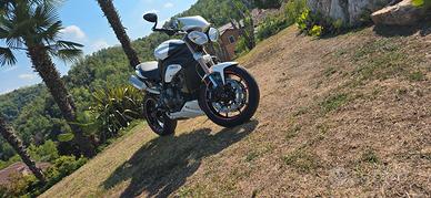 Triumph Speed Triple 1050