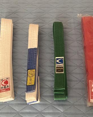 Lotto cinture Judo/Karate/ Taek Won Do