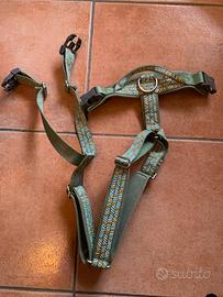 Pettorina Hurrta Razzle Dazzle 80-100