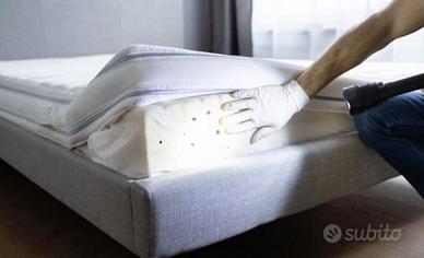 Cimici dei letti DISINFESTAZIONE