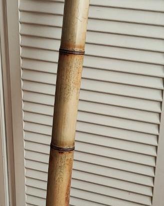 Didgeridoo