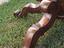 Immagine 4