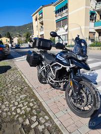 Triumph Tiger 900 GT Pro 2020, pronta a viaggiare