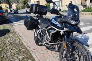 Triumph Tiger 900 GT Pro 2020, pronta a viaggiare