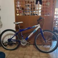 bici  olmo 26 