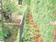 Immagine 25