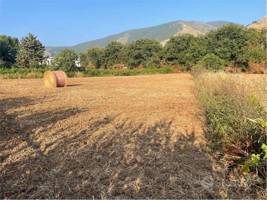 Terreno di 6200 m² a Sessa Aurunca - Altro