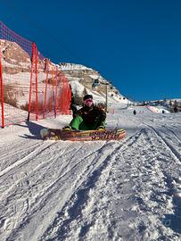 Lib tech attack banana 153