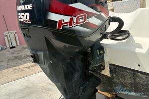 Evinrude 250 h.o.