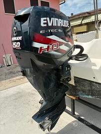 Evinrude 250 h.o.