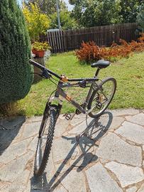 bicicletta
