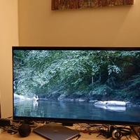 TV Samsung 50 pollici