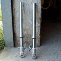 Forcelle Showa Ducati