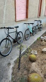 Bicicletta
