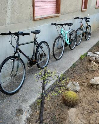 Bicicletta