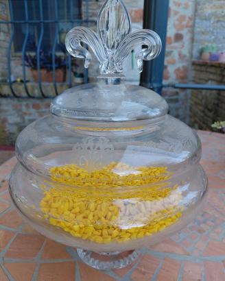 zuppiera in vetro