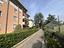 Immagine 8