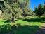 Immagine 21